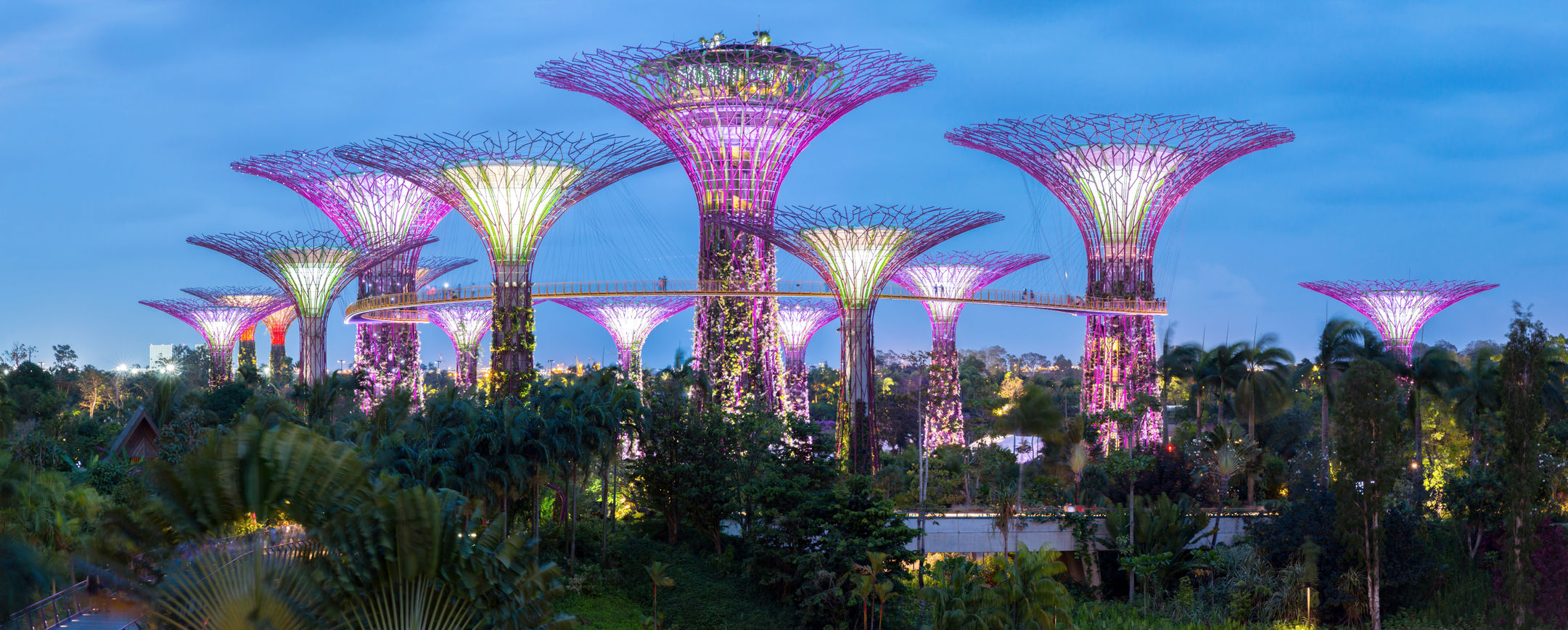 Singapore Trade Reporting Rules Finalised.